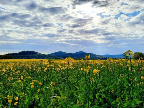 Agroturystyka Karioka