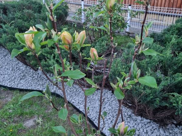 Agroturystyka u Kazika