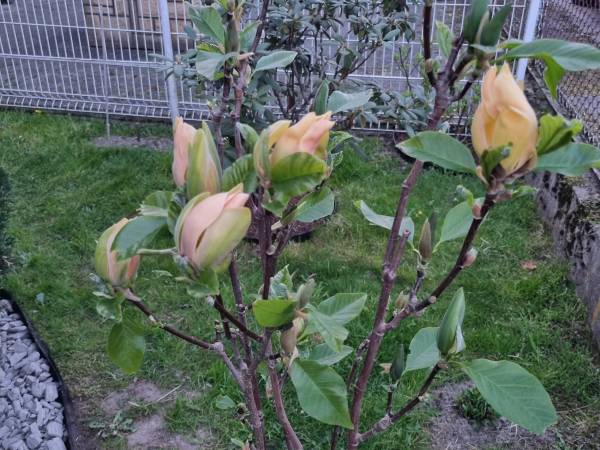 Agroturystyka u Kazika