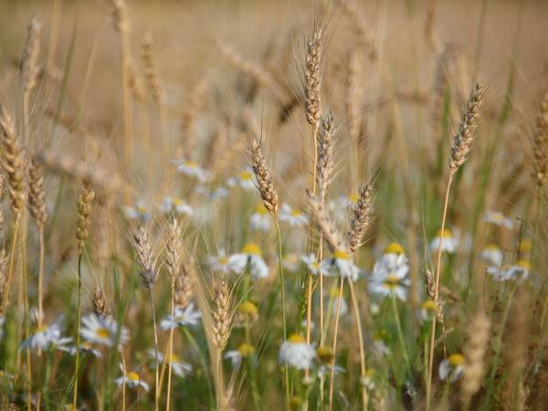 Pensjonat Zbójecki Dwór