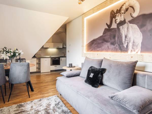 Apartament Premium 10