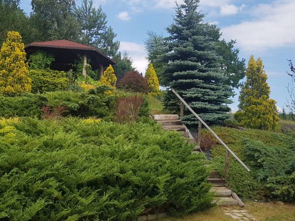 Apartament pod lasem