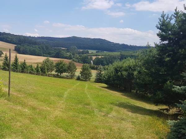 Apartament pod lasem