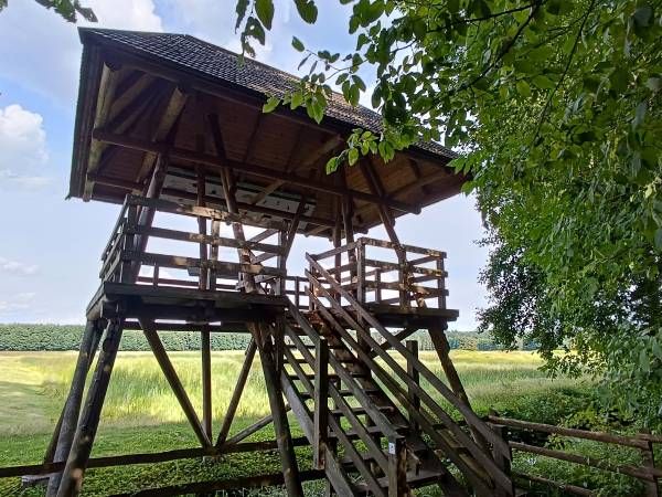 Apartament Slowly Zamość - na wyłączność, z ogrodem