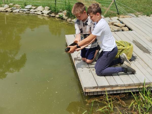 Wpuszczamy LINA 50cm