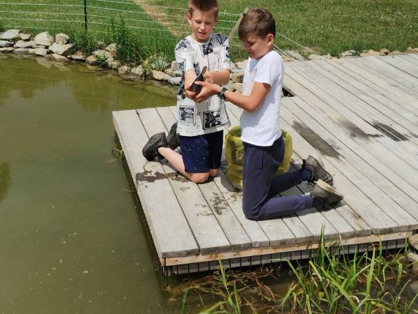 Wpuszczamy LINA 50cm