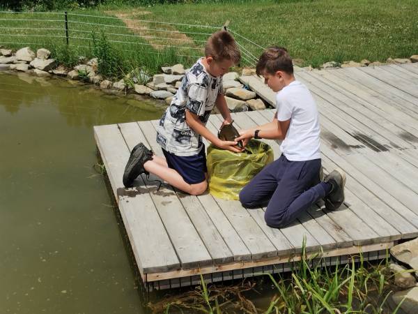 Wpuszczamy LINA 50cm