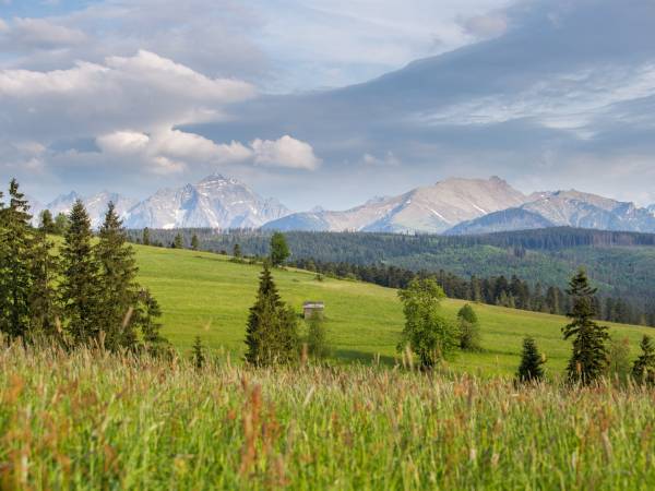 MC82 Anna i Marek Łukaszczyk