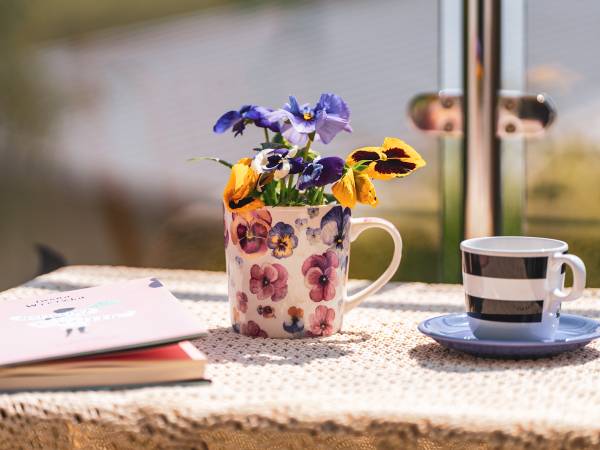 Dom Gościnny Bratek