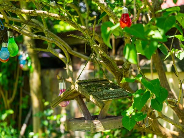 Dom Gościnny Bratek