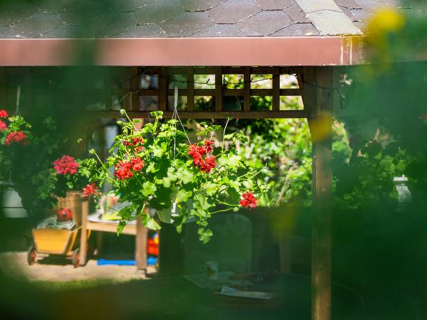 Dom Gościnny Bratek