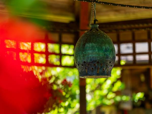 Dom Gościnny Bratek