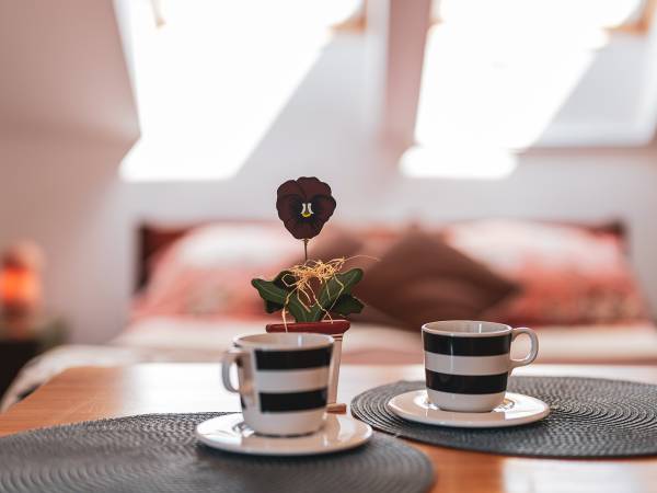 Dom Gościnny Bratek