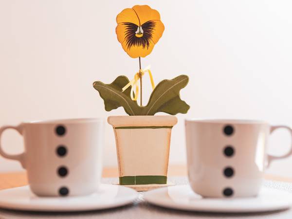 Dom Gościnny Bratek