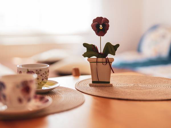 Dom Gościnny Bratek