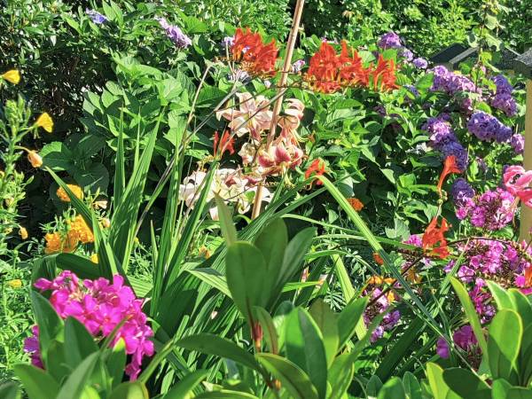 Dom Gościnny Bratek