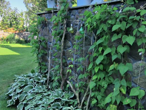 Dom Gościnny Bratek