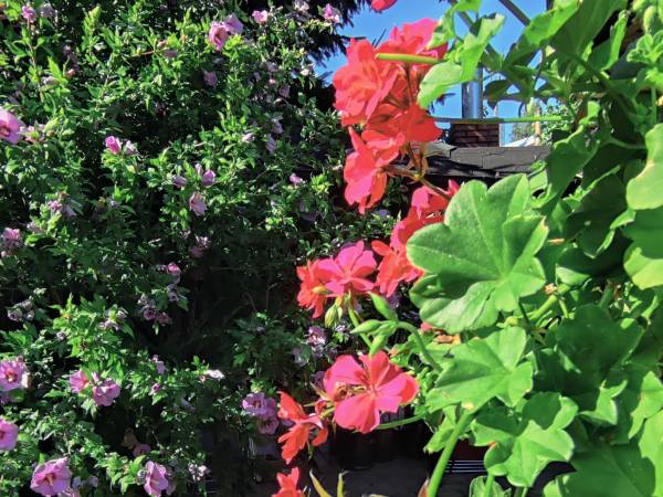 Dom Gościnny Bratek