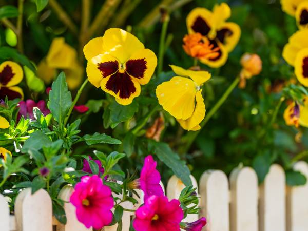 Dom Gościnny Bratek