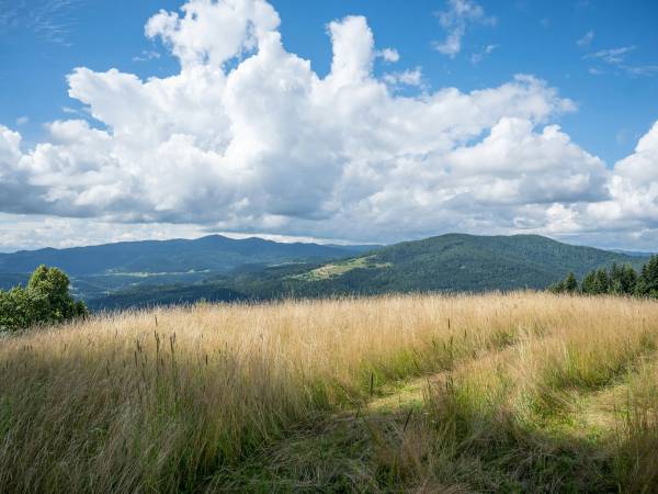 Beskid Śląski