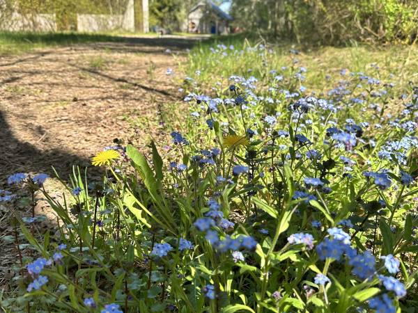 Kocanówka - osada artystyczna