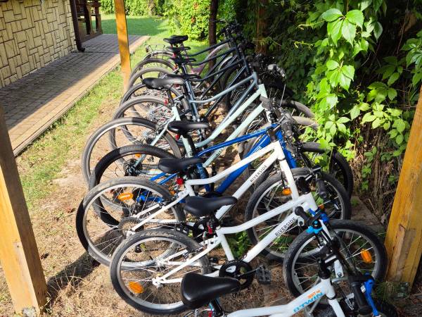 Bartek Domki letniskowe 