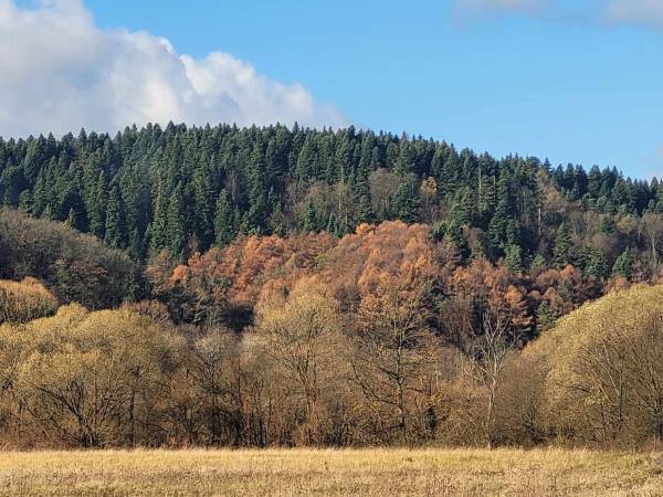 Domki Magiczne Miejsce 