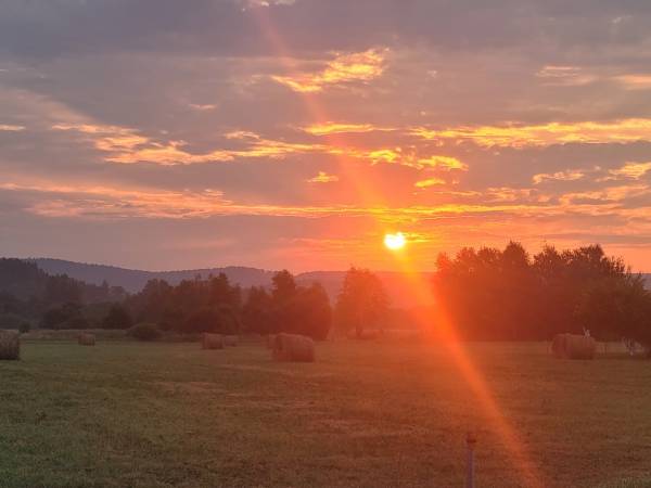 Domki Magiczne Miejsce 