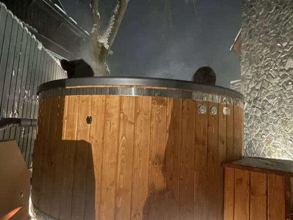 Domek Sudecki Zakątek 