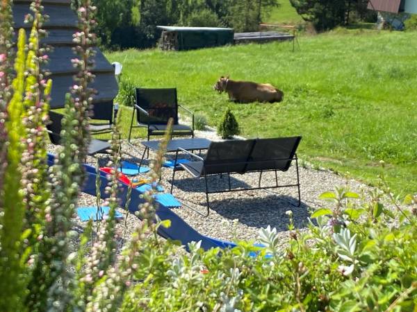 Dom Wypoczynkowy Pod Smyrekami