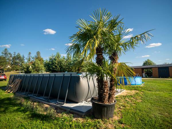 Agroturystyka Domki Nad Rzeką Bałtów Kajaki, Rowery, Basen, JACUZZI 