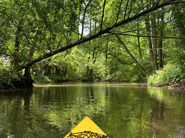 Agroturystyka Pod Lasem