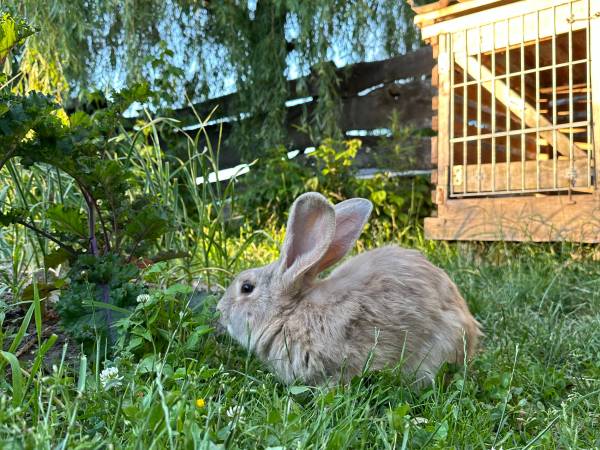 Agroturystyka Pod Lasem