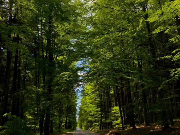 Droga od Stawów Echo do Soch