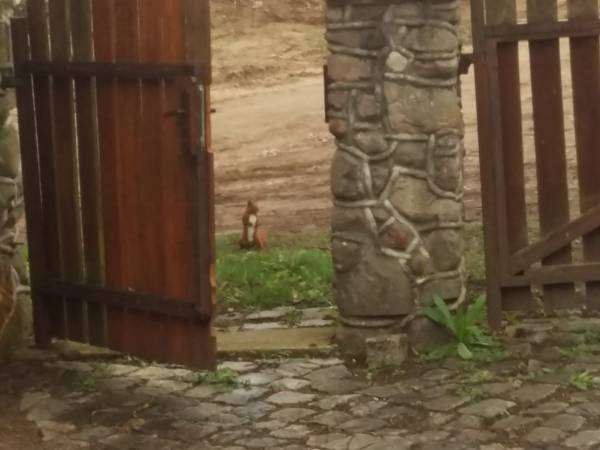 Dom nad jeziorem Pile