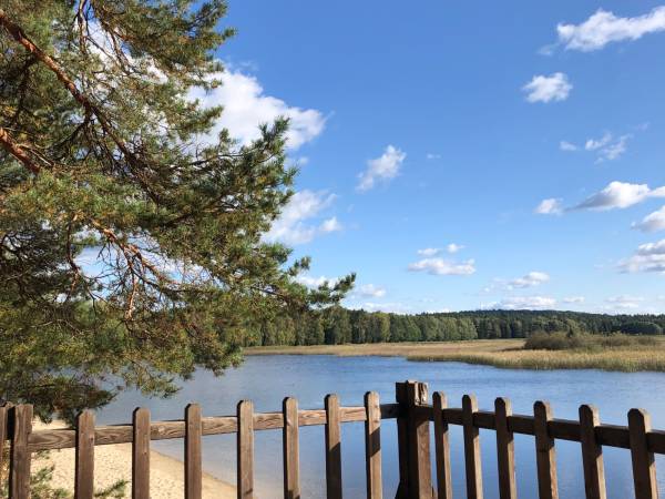 Agroturystyka Pod Lasem