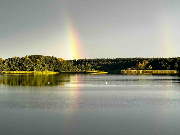 Wpadnij do lasu , domki nad jeziorem 