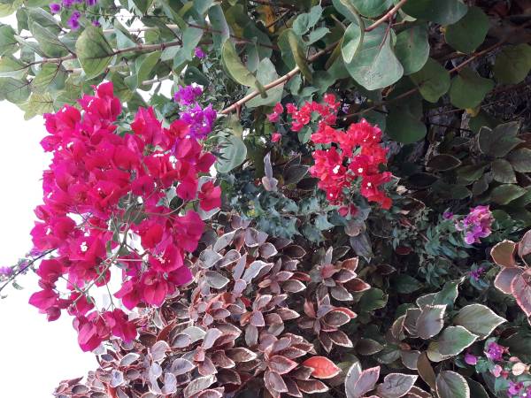 OŚRODEK WYPOCZYNKOWY JASZCZURKA - CAŁOROCZNY