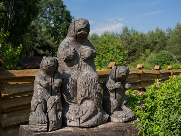 Agroturystyka Dolina Bobrów