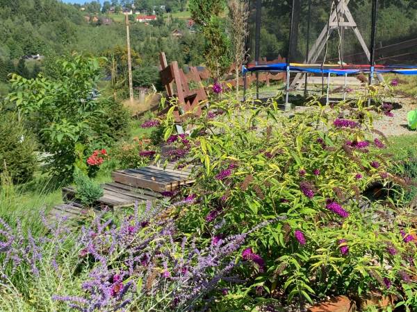 Agroturystyka 'Wudarsówka"