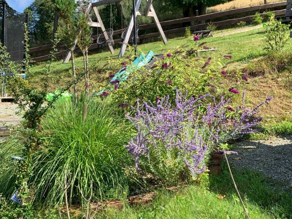 Agroturystyka 'Wudarsówka"