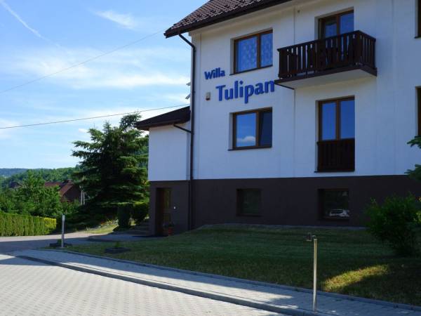 Willa Tulipan