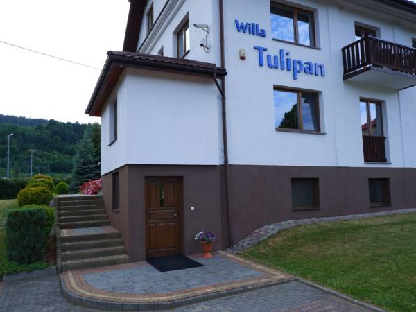 Willa Tulipan