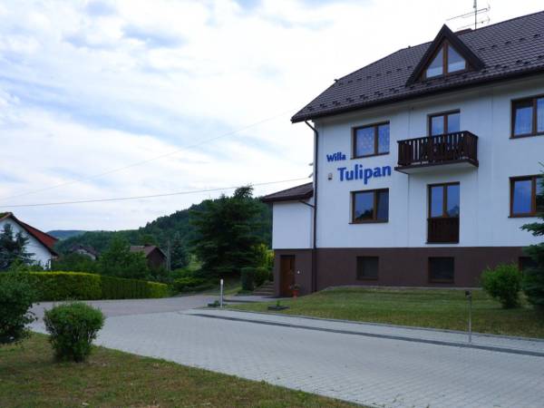 Willa Tulipan