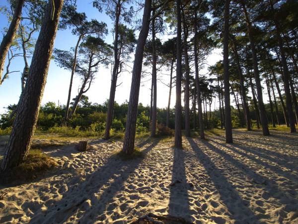 Kompleks Bajkowa Kraina