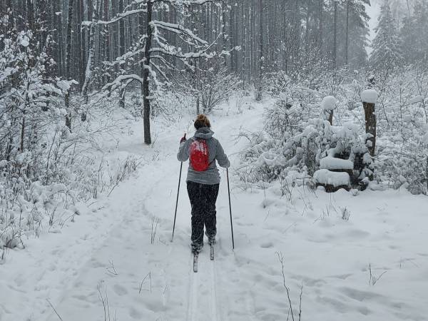 Wypożyczalnia nart biegowych