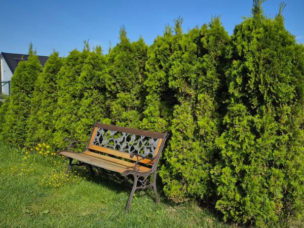 Kompleks Bajkowa Kraina