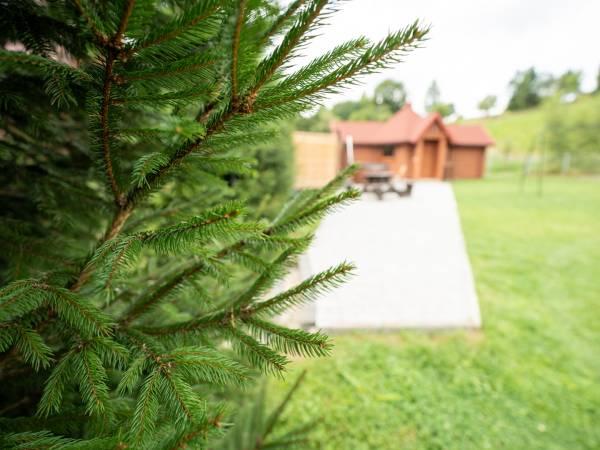 domek saunowo-grillowy