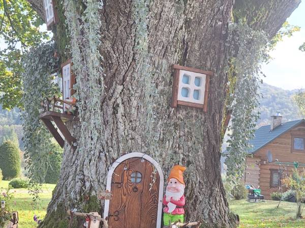 Domki pod Lipą i Domek u Jasi