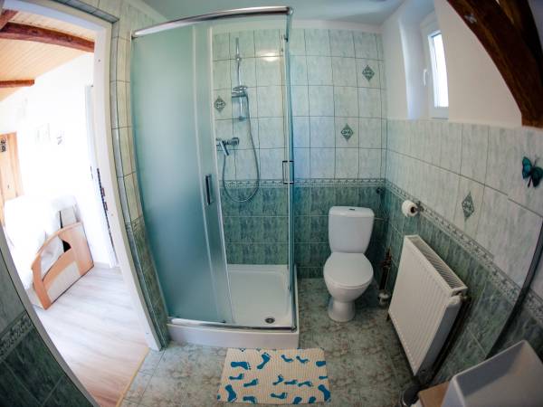 łazienka w pokoju nr 5